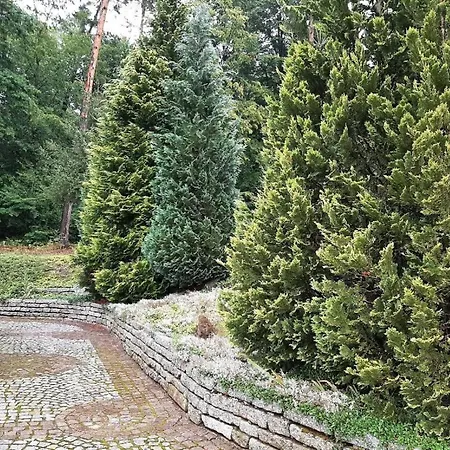 Casa vacanze Ferienhaus Wuenschmann